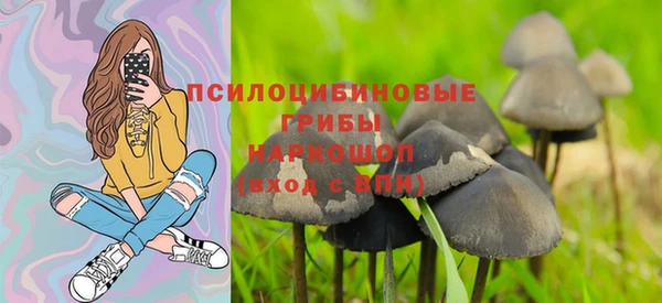 ешки Арсеньев